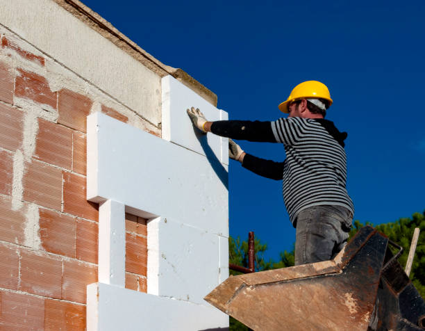 Best Specialized Insulation Services in Whitestown, IN
