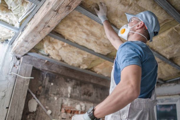 Best Specialized Insulation Services in Whitestown, IN